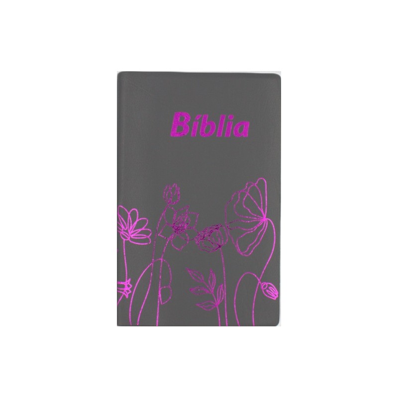 BÍBLIA DN 042C | Cinzento | Concordância | Flores